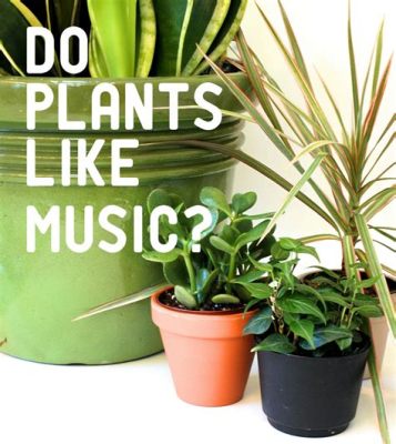 can music help plants grow or is it just a placebo effect?