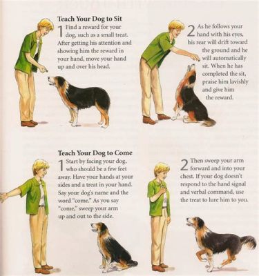 How to Teach a Dog to Dance: A Deeper Exploration into the Realm of Canine Coorination and Rhythm