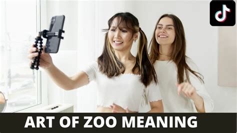 what is art of the zoo